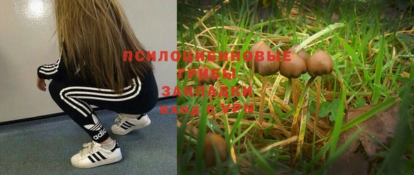 эйфоретик Бронницы